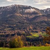 Ein halbes Jahr voller Einschränkungen