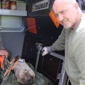 Pulverfass Stammstrecke