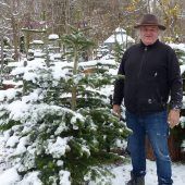 Christbäume, die Weihnachten überleben