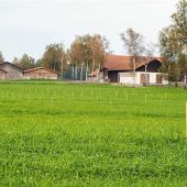 Funktioniert Landwirtschaft im Moor?
