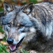 Wer trägt die Verantwortung?