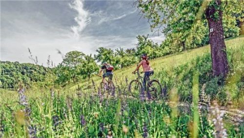 Die Landschaften an Kocher, Jagst und Neckar laden zum Frühlingsradeln ein. Foto djd/HeilbronnerLand/Christian Frumolt