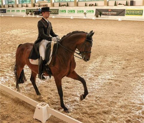 Raphael Netz, hier bei einem Turnier auf Gut Ising und nicht auf Ferdinand BB reitend, gewann in Ungarn drei Goldmedaillen bei der U25-EM.Foto Hans Weitz Archiv