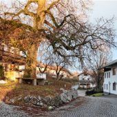 Ärger bei den Nachbarn