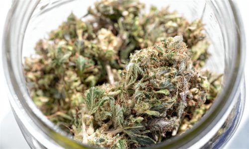 Lieber staatlich kontrolliert als vom Straßenhändler? Die Ampel-Koalition plant die Freigabe von Cannabis und erntet damit in Rosenheimer Kreisen Zuspruch, aber auch Ablehnung. Foto dpa