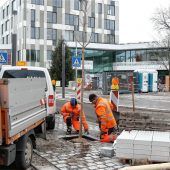 Fünf Ginkgos auf der Mittelinsel