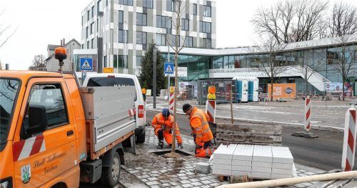 Noch sind die Ginkgos klein, wenn sie ausgewachsen sind erreichen ihre Kronen eine Höhe von 4,5 Metern. Gestern haben Christian Horn (links) und Michael Schmid vom Kolbermoorer Bauhof die Ginkgos auf der Mittelinsel gepflanzt. Foto Riediger