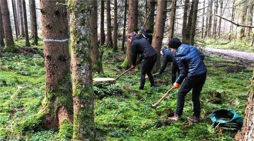 Schweißtreibende Arbeit: Die Pflanzaktion der angehenden Büroleute hilft dem Erhalt des Ökosystems.