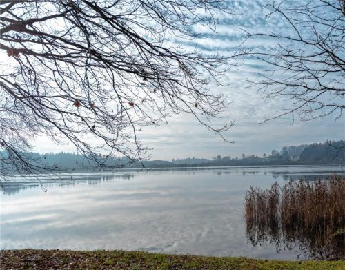 Still ruht der Hofstätter See: Die Stadtwerke Rosenheim wollen dauerhaft Wasser aus einem nahe am Gewässer gelegenen Brunnen beziehen.. Foto Thomae