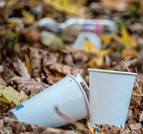 Stillleben der anderen Art: zwei To-go-Becher, im Hintergrund noch eine Plastikflasche.