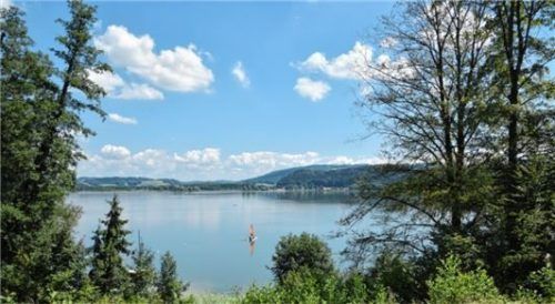 Was wächst wo im Simssee? Der Frage gingen Taucher drei Jahre im Auftrag von Wiener Wissenschaftlern auf den Grund. Foto Schlecker