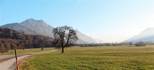 Wo ist das Raubtier? Vor den Toren des Ortsteils Osterried soll sich ein wolfsähnliches Tier herumtreiben. Foto Steffenhagen