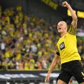 Rose bläst zum Angriff