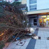Polizist überlässt nacktem Dieb Hose Christbaum im Zentrum umgestürzt