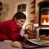 Wie das Heizen mit Holz sich lohnt