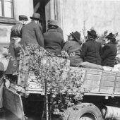 Ausstellung auf Lastwagen