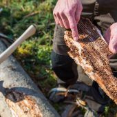 Zu feucht für den Käfer