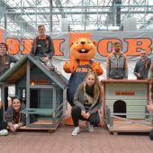 Hundehütten für den Tierschutzverein