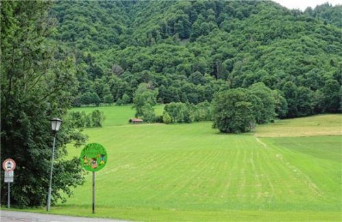 Auf der grünen Wiese: Nicht einverstanden ist der Gemeinderat mit der Standortwahl für einen Funkmast unmittelbar am Bankerlweg-Feldstadel und empfahl, die Suche nach einem geeigneten Bauplatz fortzusetzen. Foto Rehberg
