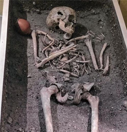 Die menschlichen Überreste einer Person? Nein. Das Skelett, das das Städtische Museum Rosenheim beherbergt, ist aus Knochen von drei verschiedenen Menschen zusammengesetzt worden.Foto Wunsam