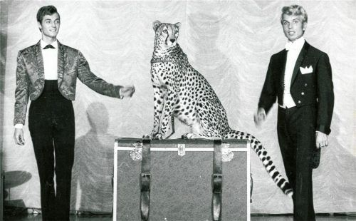 Ein Bild aus den 60er-Jahren: Siegfried Fischbacher (rechts) und Roy Horn bei einer ihrer Aufführungen. Foto privat