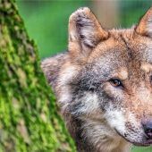 Bauernverband drängt zur Eile