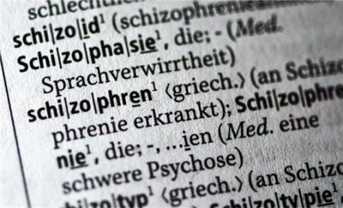 Nach Angaben eines Gutachters leidet die Angeklagte an einer paranoiden Schizophrenie. Foto dpa
