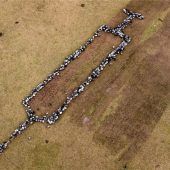 Über tote Pferde und steigende Zahlen