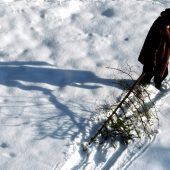 Lichtmess: Jetzt muss der Baum raus