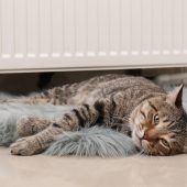 Teure Energie – was man tun kann