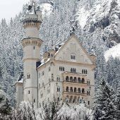 Festnahme nach Warnschuss Pflegeheim: Leiche exhumiert Neuschwanstein ist beliebtestes Schloss Eine Million Liter Gülle in Bach gelenkt