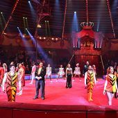Zurück in der Manege