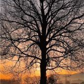 Kunstwerkin der Natur