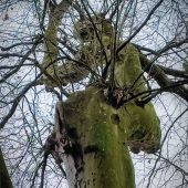 Hoch oben schwingt sie ihr Zepter