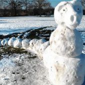Raupe Nimmersatt im Strandbad Felden