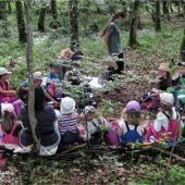 Waldkindergarten öffnet im Herbst