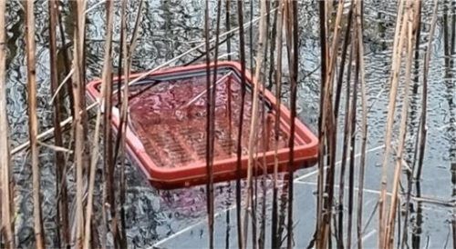 Auch ein Einkaufskorb wurde im Wasser versenkt.