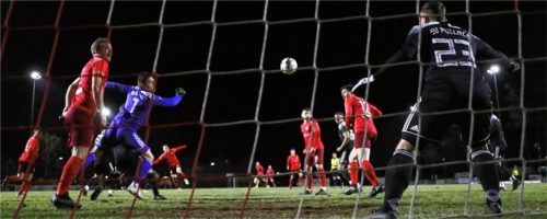Das Tor des Abends: Michael Neumeier (hinten) traf gegen Pullach zum 1:0. Foto  Butzhammer