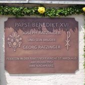 „Viele Aktionen sind verfrüht“