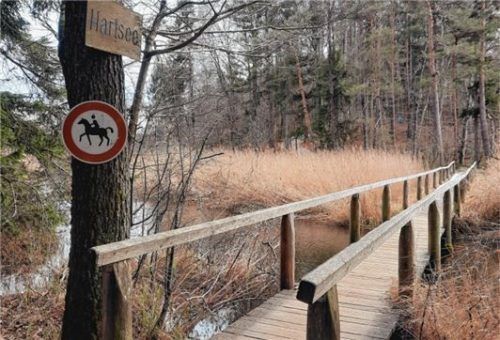 Die Schönachenstegbrücke hat nach rund 40 Jahren ausgedient. Sie wird bis Ende Februar erneuert.