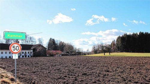 Ein „lebendiger Ortsteil“ soll hier in Kammer entstehen. Der Erschließungsplanung stimmte der Gemeinderat einstimmig zu.Foto Auer