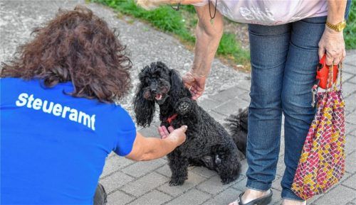 Einmal zahlen bitte: Halter von Hunden, die aus einem Tierheim stammen, müssen auch weiterhin die Hundesteuer bezahlen. Die AfD hatte per Antrag eine Befreiung gefordert, scheiterte jedoch. Foto dpa