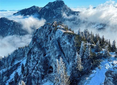 Ende November entdeckte der Aschauer Rainer Rossipaul auf dem Schneefeld unten rechts im Bild einen Wolf.Foto  privat