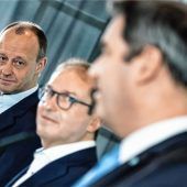 Friedrich Merz ist kein Kandidat der Herzen