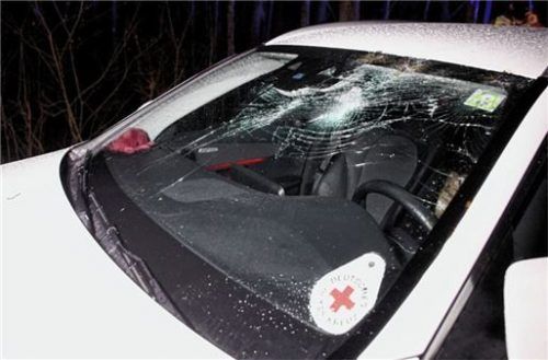 Für eine zersplitterte Windschutzscheibe sorgte ein Ast, der von einem Baum heruntergefallen ist. Foto Barth