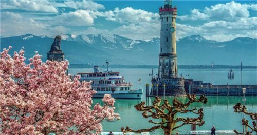 Im Frühling breitet sich an den Ufern des Bodensees, wie hier im Hafen von Lindau, ein Blütenmeer aus. Foto djd/Deutsche Bodensee Tourismus/Wolfgang Schneider