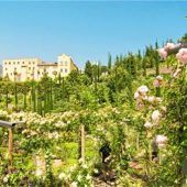 Genusswandern mit Birnen und Rosen