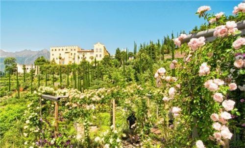 In den berühmten Gärten von Trauttmansdorff flanierte schon Kaiserin Sissi zwischen den Rosenbeeten. Foto djd/IDM Südtirol/Marion Gelmini