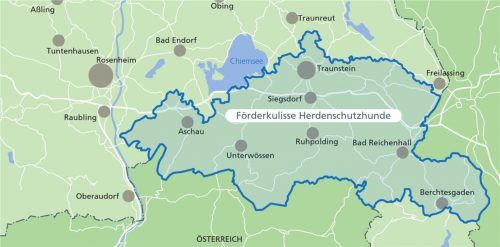 In der Förderkulisse sind nur Teile der Landkreise Rosenheim und Traunstein. Außerhalb des blau markierten Bereichs wird Herdenschutz nicht bezuschusst. Klinger