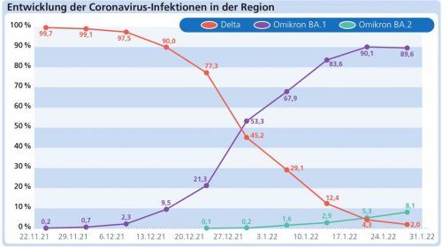 Kurviger Verlauf: So haben sich die Varianten in der Region seit Ende November verbreitet. Klinger